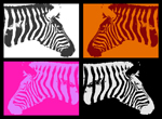 Andy Warhol style Zebra