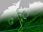 euro 2008 experiment